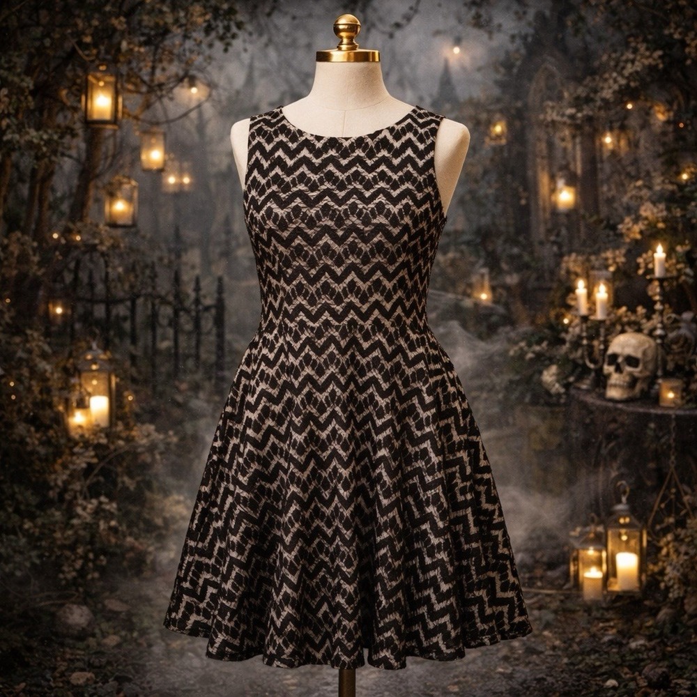 Trixxi Black Lace Fit &‎ Flare Dress Women Size 22W Classic Whimsy Gothic
